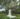 couple under tree prenuptial shoot