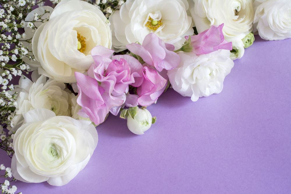 varieties of flowers on purple table