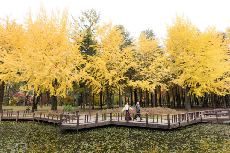 Ram Marcelo 12 768x512