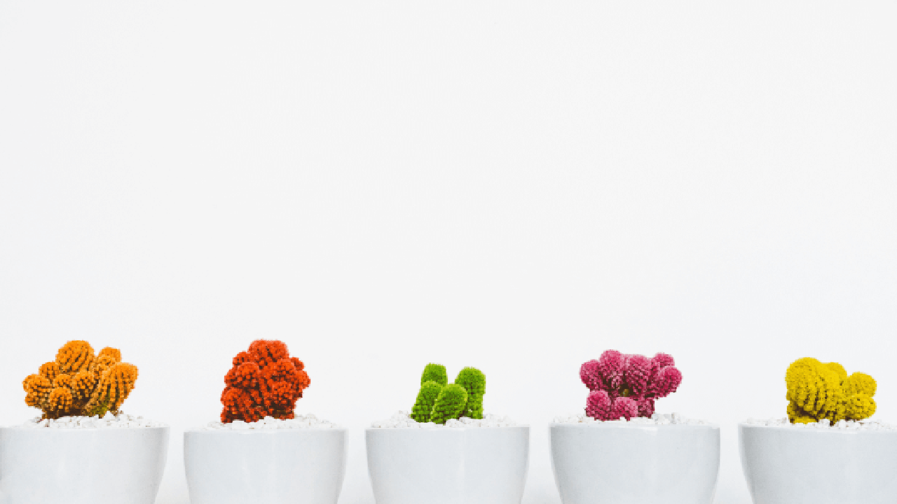 Tiny vases