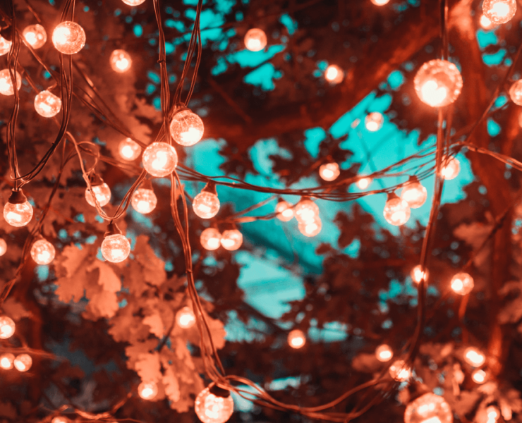 christmas lights