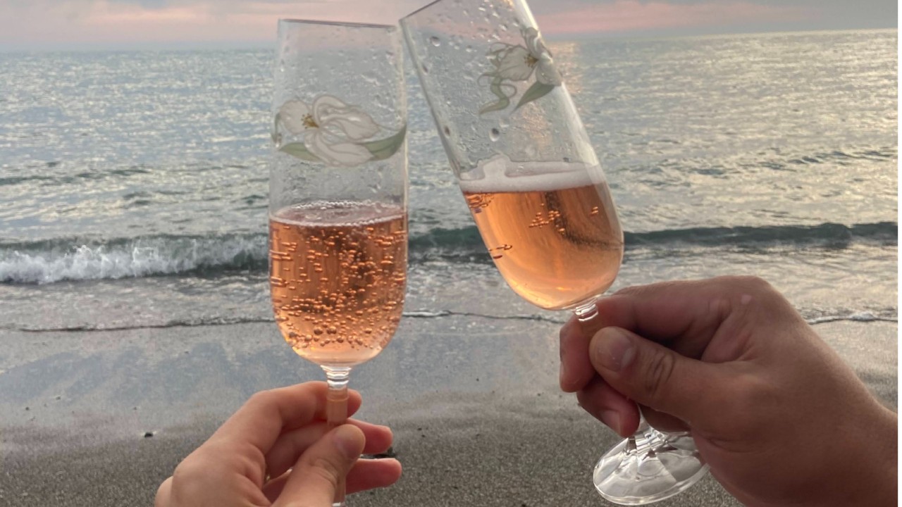 couple anniversary gift beach picnic