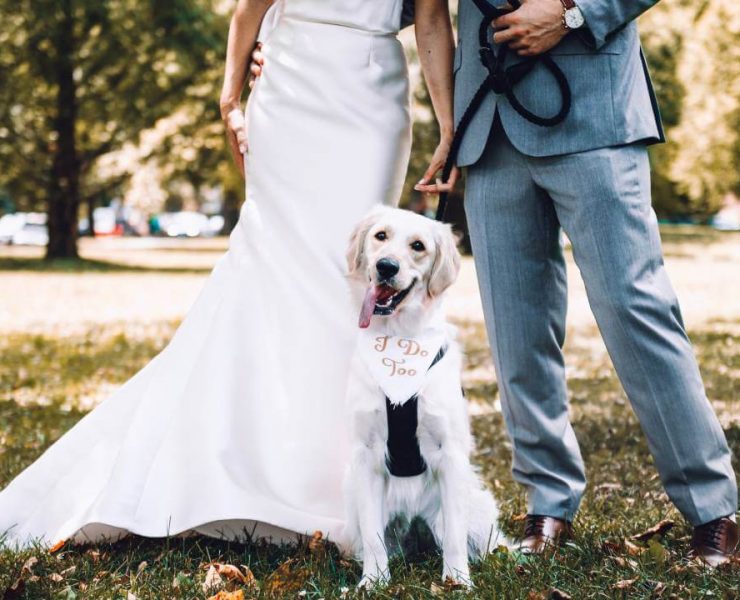 include dogs at your wedding