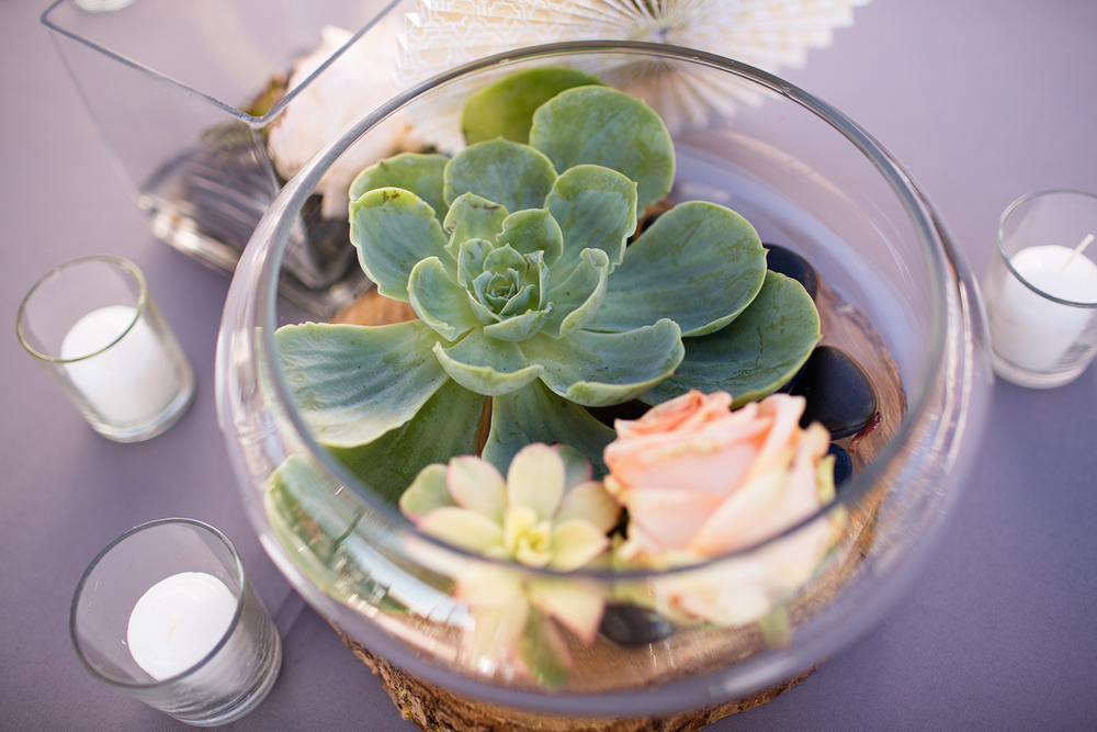 a terranium surrounded by tea candles