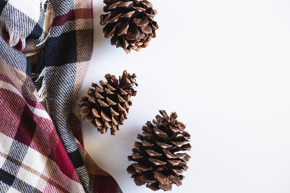 three pinecones