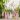 Happy bride and bridesmaids holding pink balloons