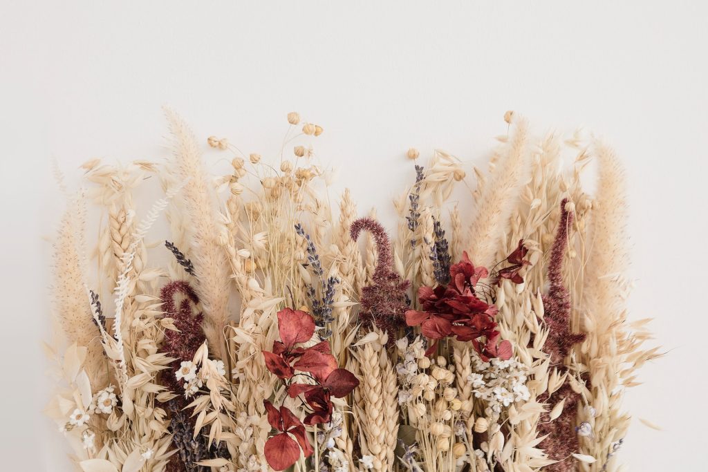 dried wheats and flowers laying flat on white background