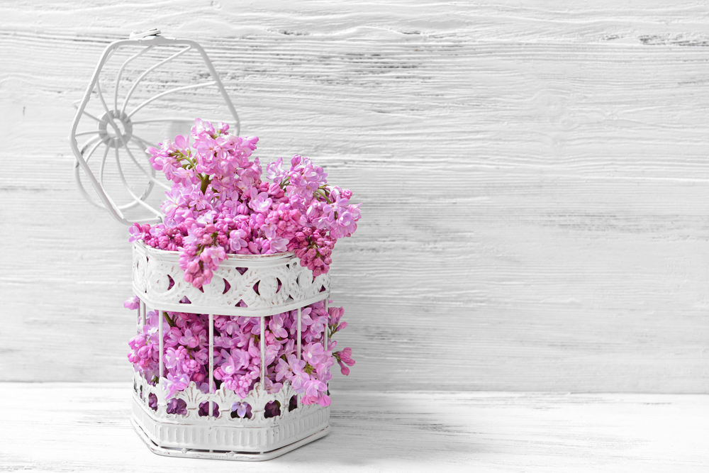 wedding bouquet of pink lilac flowers in white metal lantern