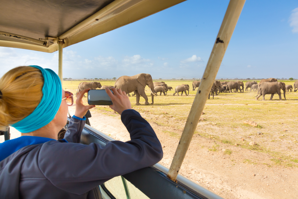 woman taking picture of elephants in Tanzania, South Africa
