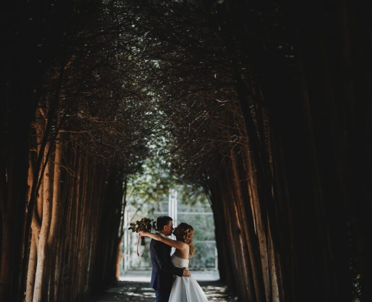 Couple in a dramatic shot between trees