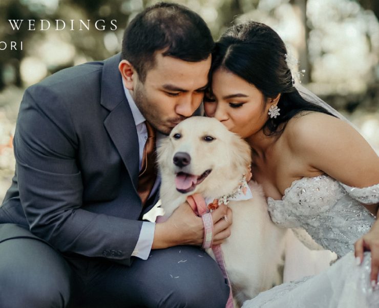 Tori, Ed, and their golden retriever dog on wedding day
