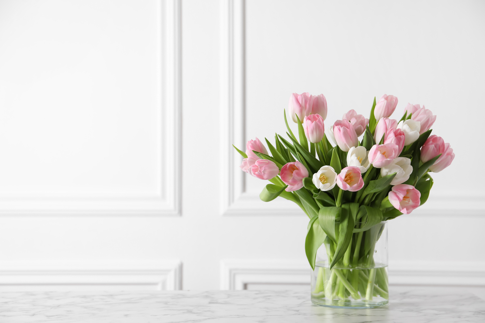 bouquet of pink and white tulips in glass vase on white marble table