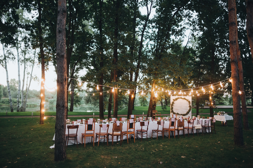 wedding venue with no flowers