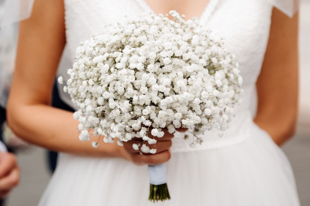 baby's breath bouquet