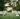 a botanical wedding venue with white bleachers