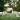 a botanical wedding venue with white bleachers