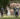 bride and groom standing on their outdoor wedding