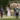 bride and groom standing on their outdoor wedding