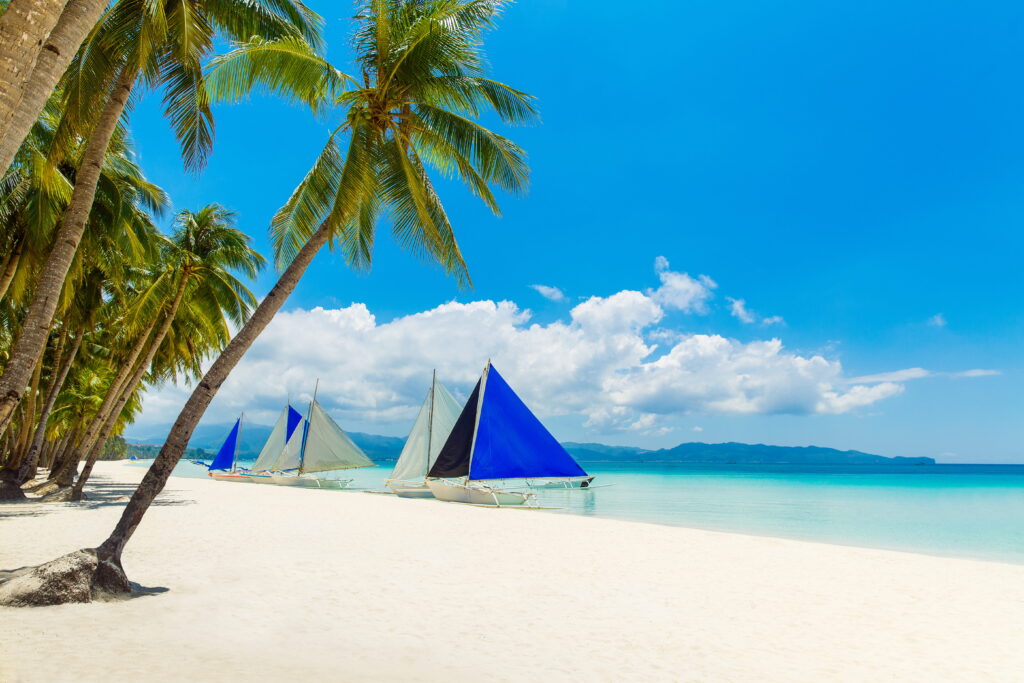 Traditional paraw sailboats with blue sails docked along the powdery white shore of Boracay's White Beach, framed by tall leaning palm trees and a vivid blue sky